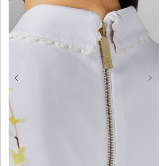 🍒NWT🍒 TED BAKER ELEGANCE FIT & FLARE DRESS - Picture 8 of 9